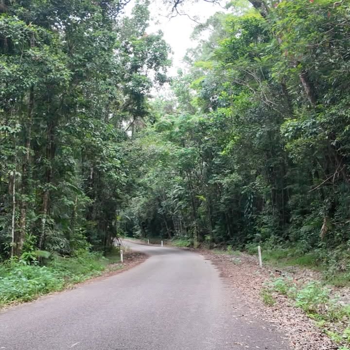 Queensland Roadtrip: Babinda Boulders Adventure
