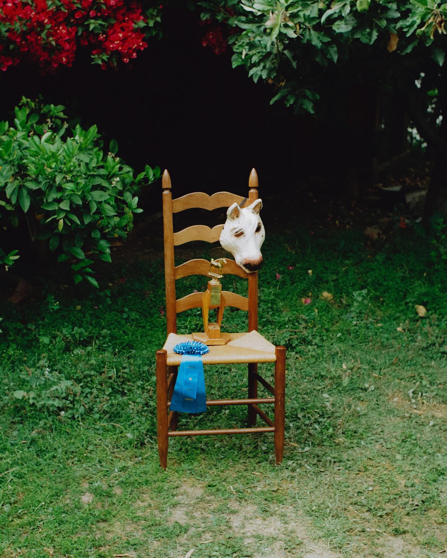 Rainey Qualley Debuts New Single Horse
