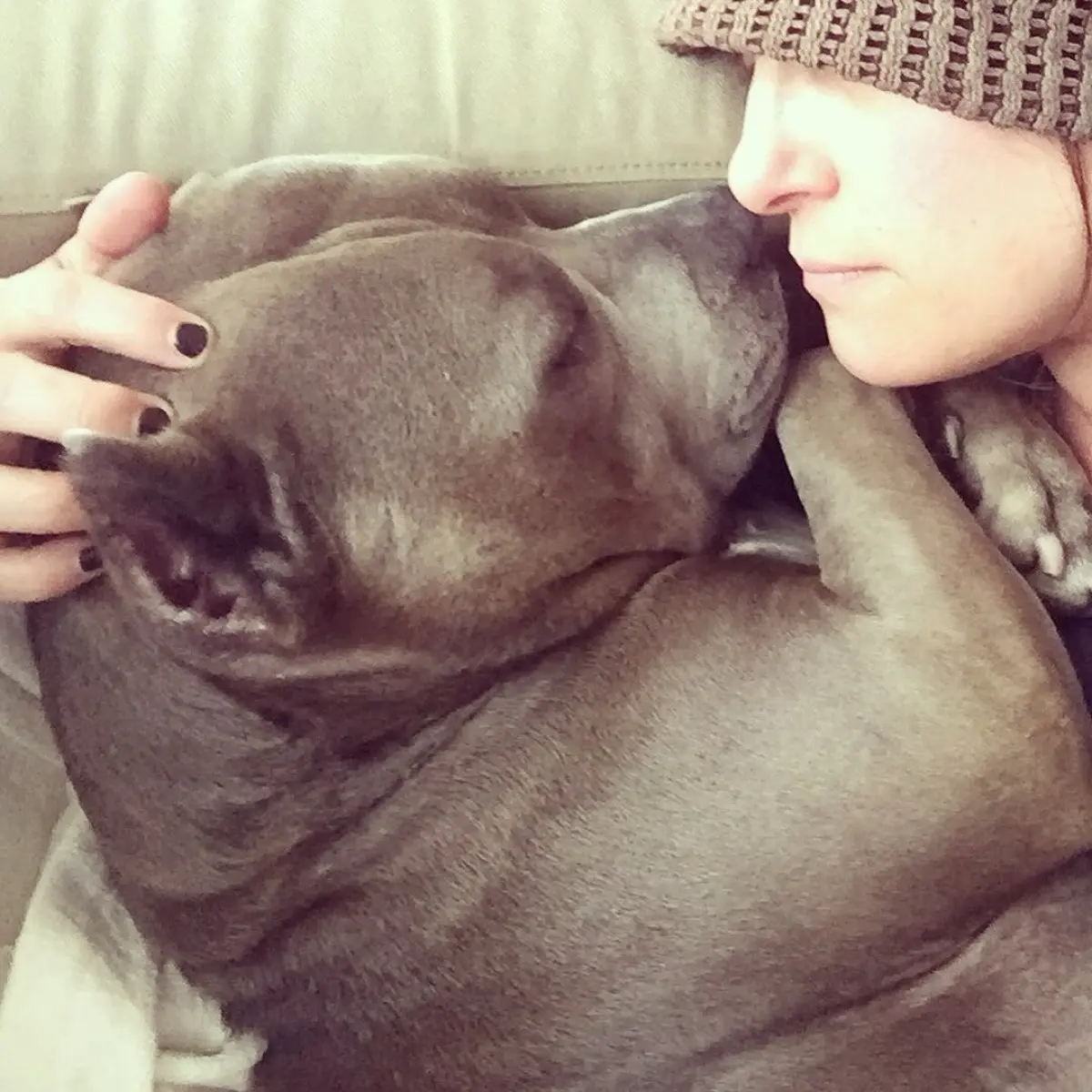 Rebecca Corry Celebrates Angel Girl’s 15-Year Milestone Standup advocate salutes a treasured pet marking fifteen years, unifying fans everywhere!