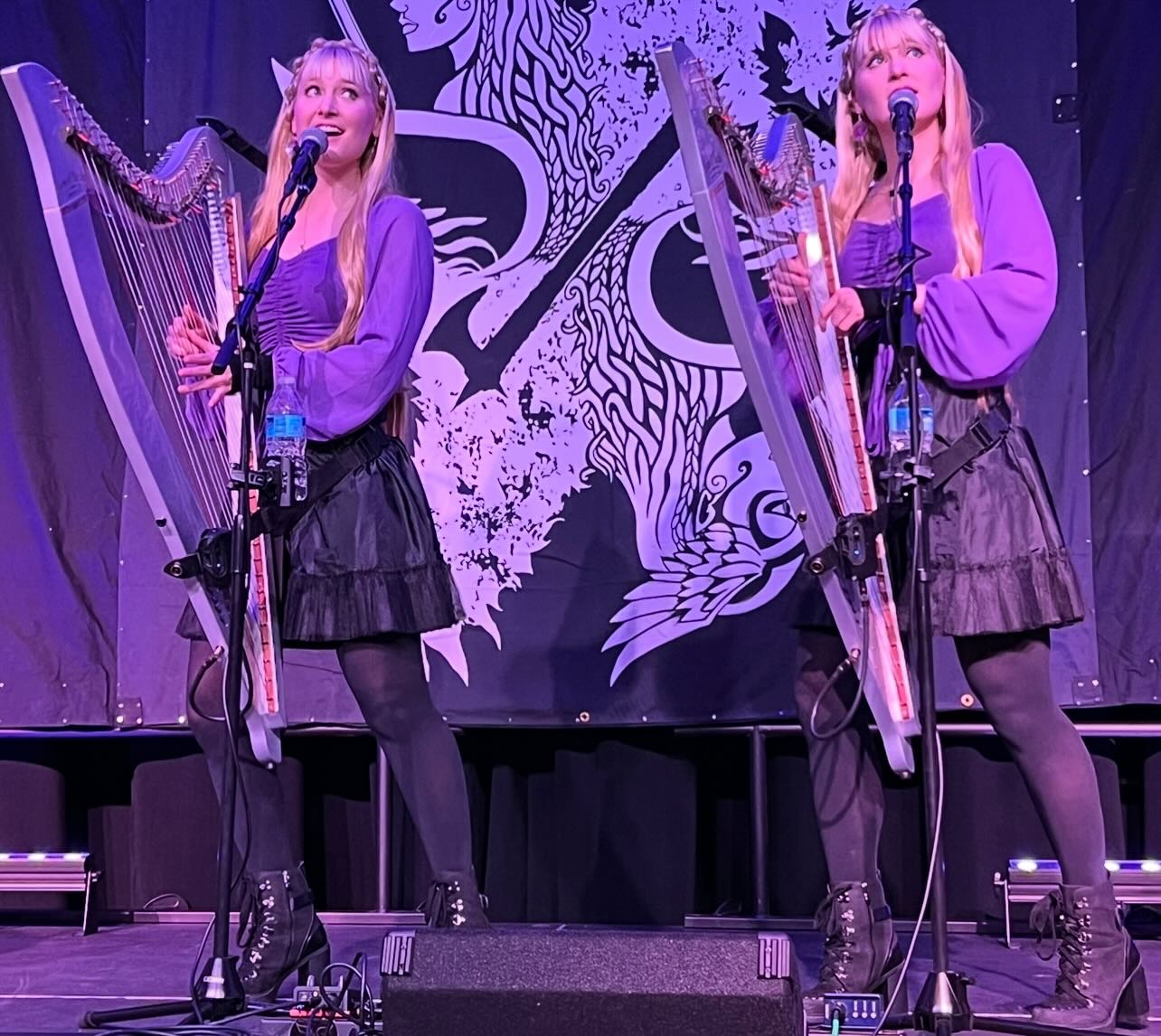 Record Attendance at Illinois Concert