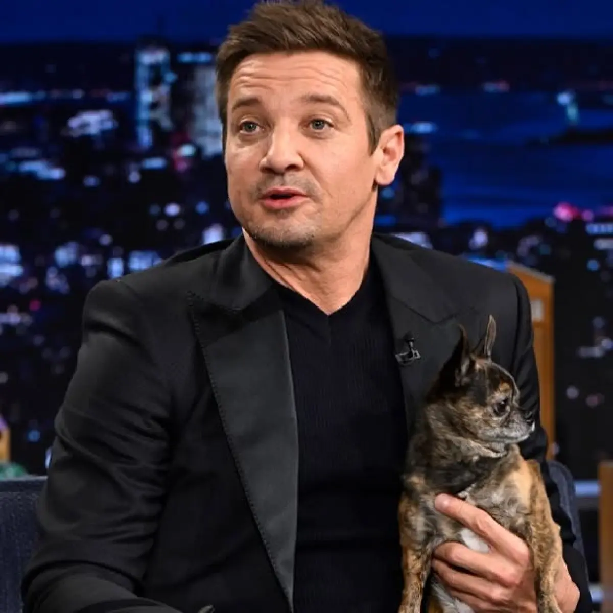 Renner And Hershey: Heartwarming Fallon Tonight Moment Jeremy Renner charms audiences on Fallon Tonight with his humorous, supportive pup, Hershey!!