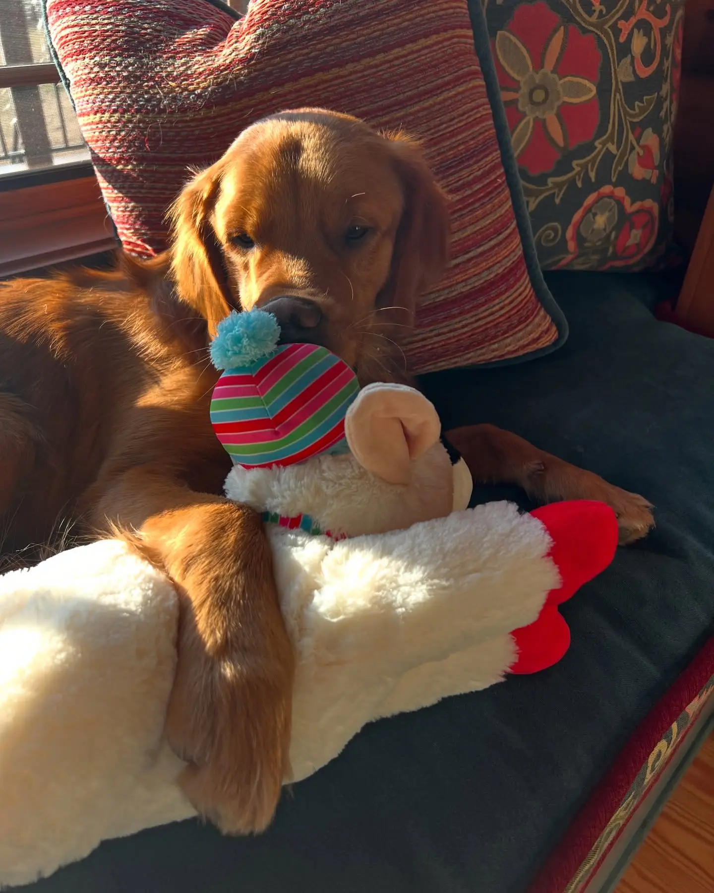 Rescue Pups Ignite Pet Adoption Drive