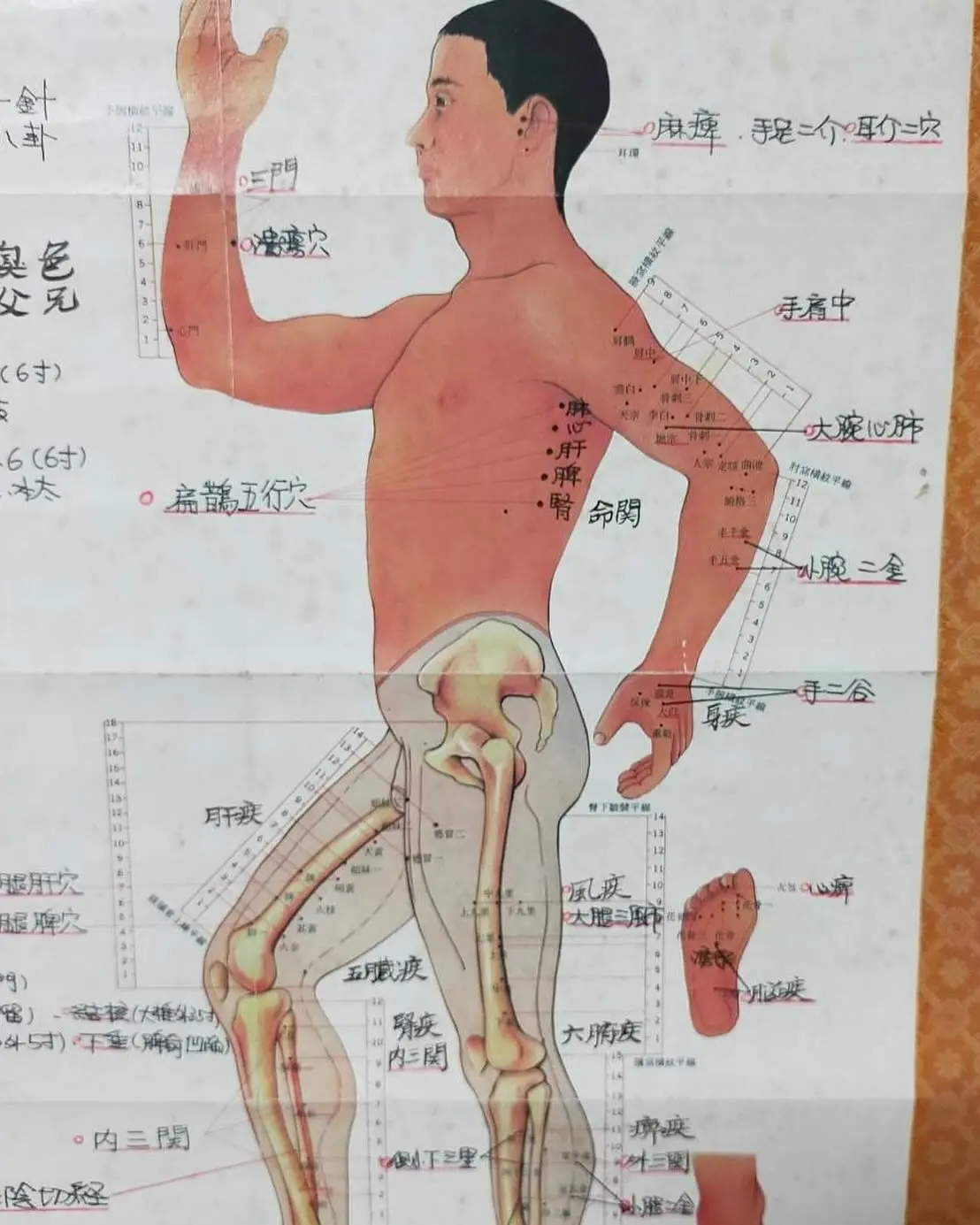 Rila Fukushima Reflects On Acupuncture School Days