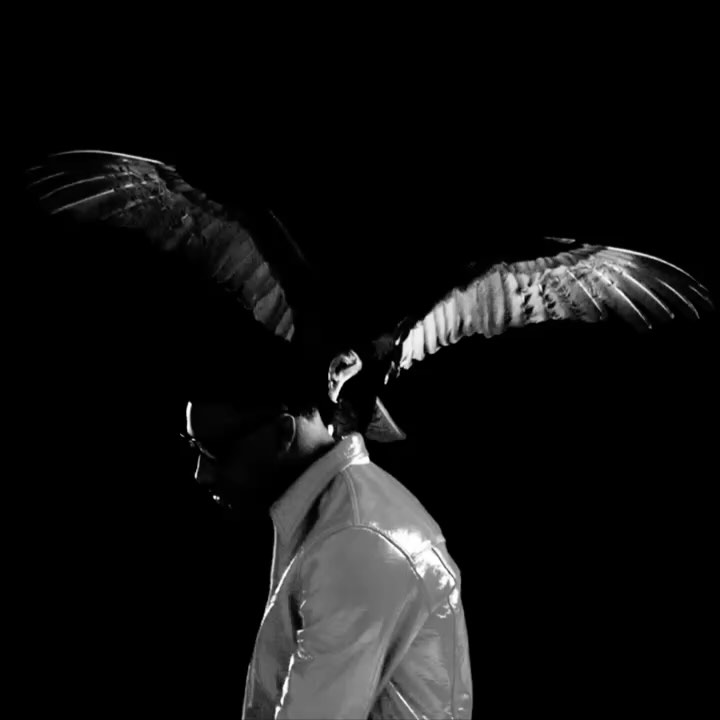 Rob49up Announces Let Me Fly Album Release