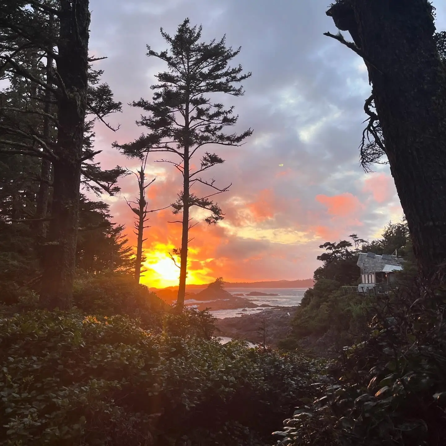 Sarah Wayne Callies Unplugs for Off-Grid Weekend Getaway Actress trades city lights for campfires and horseback trails on an isolated ranch retreat