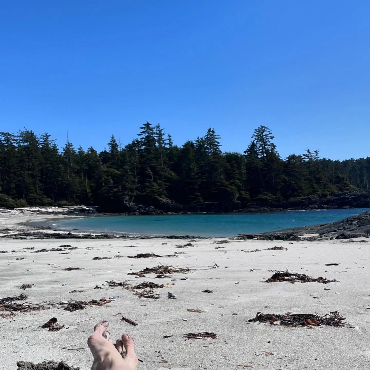 Sarah Wayne Callies Unplugs for Off-Grid Weekend Getaway