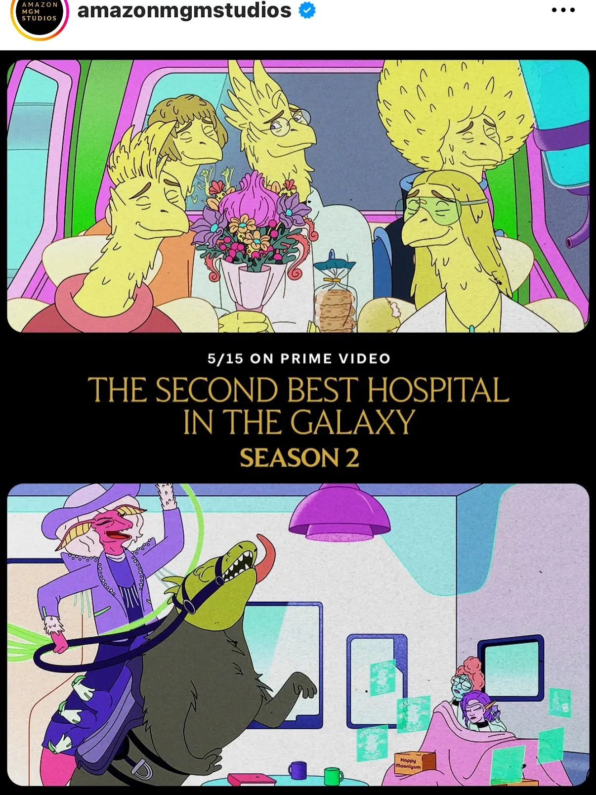 Second Best Hospital Returns On Amazon Prime