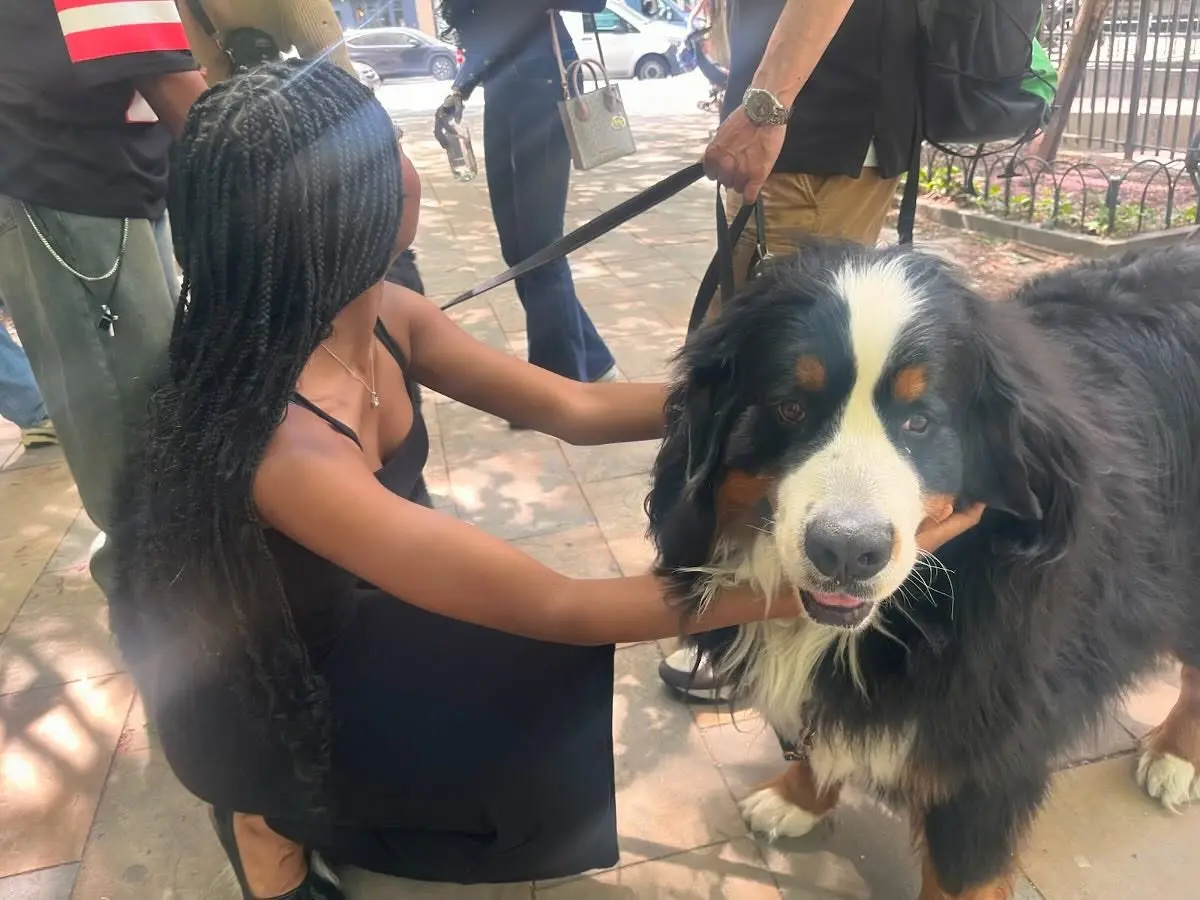 Shahadi Celebrates Birthday With Village Dog Moment