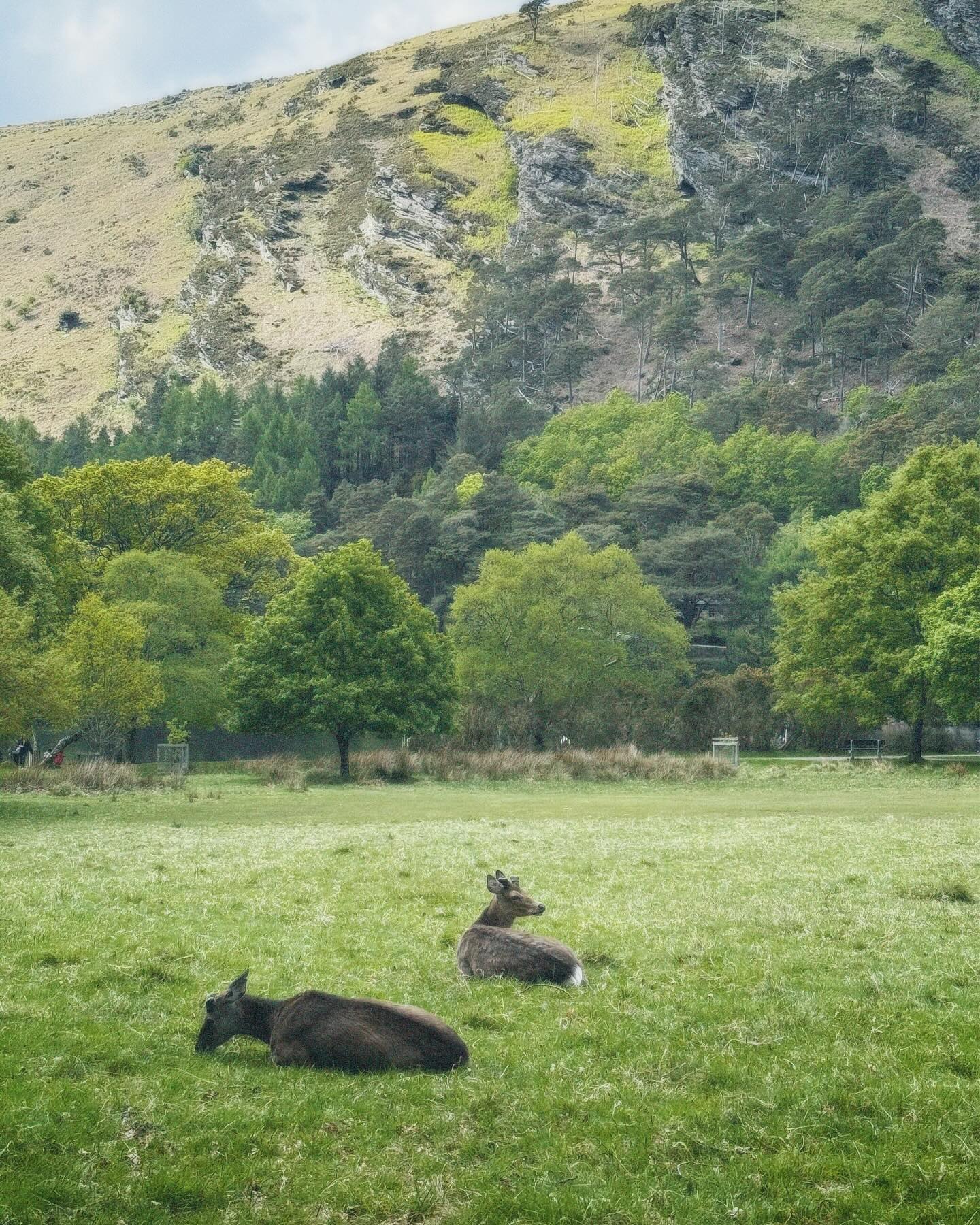 Sleeping At Last Explores Ireland’s Scenic Beauty