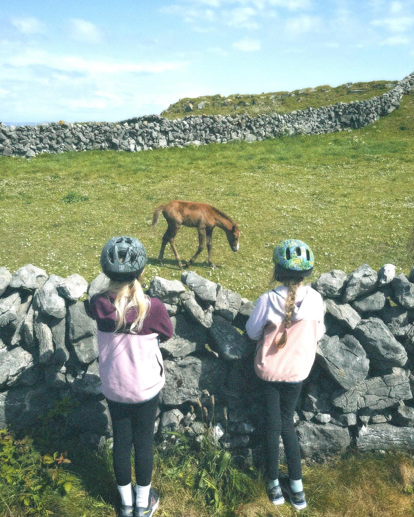 Sleeping At Last Explores Ireland’s Scenic Beauty