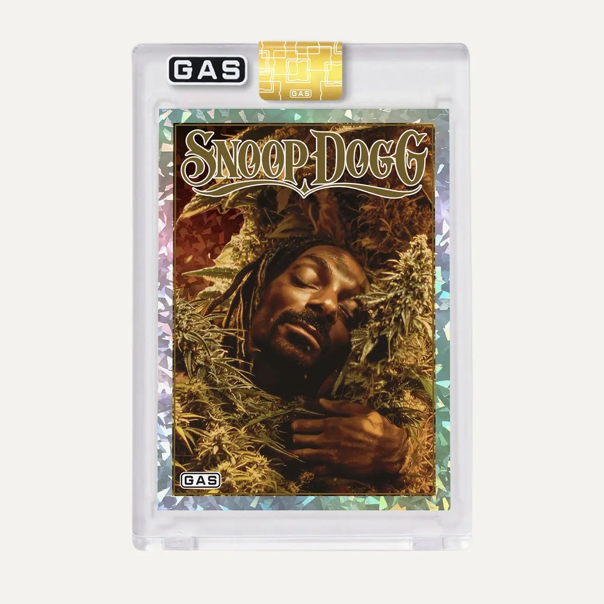 Snoop Dogg Trading Cards Celebrate New Single
