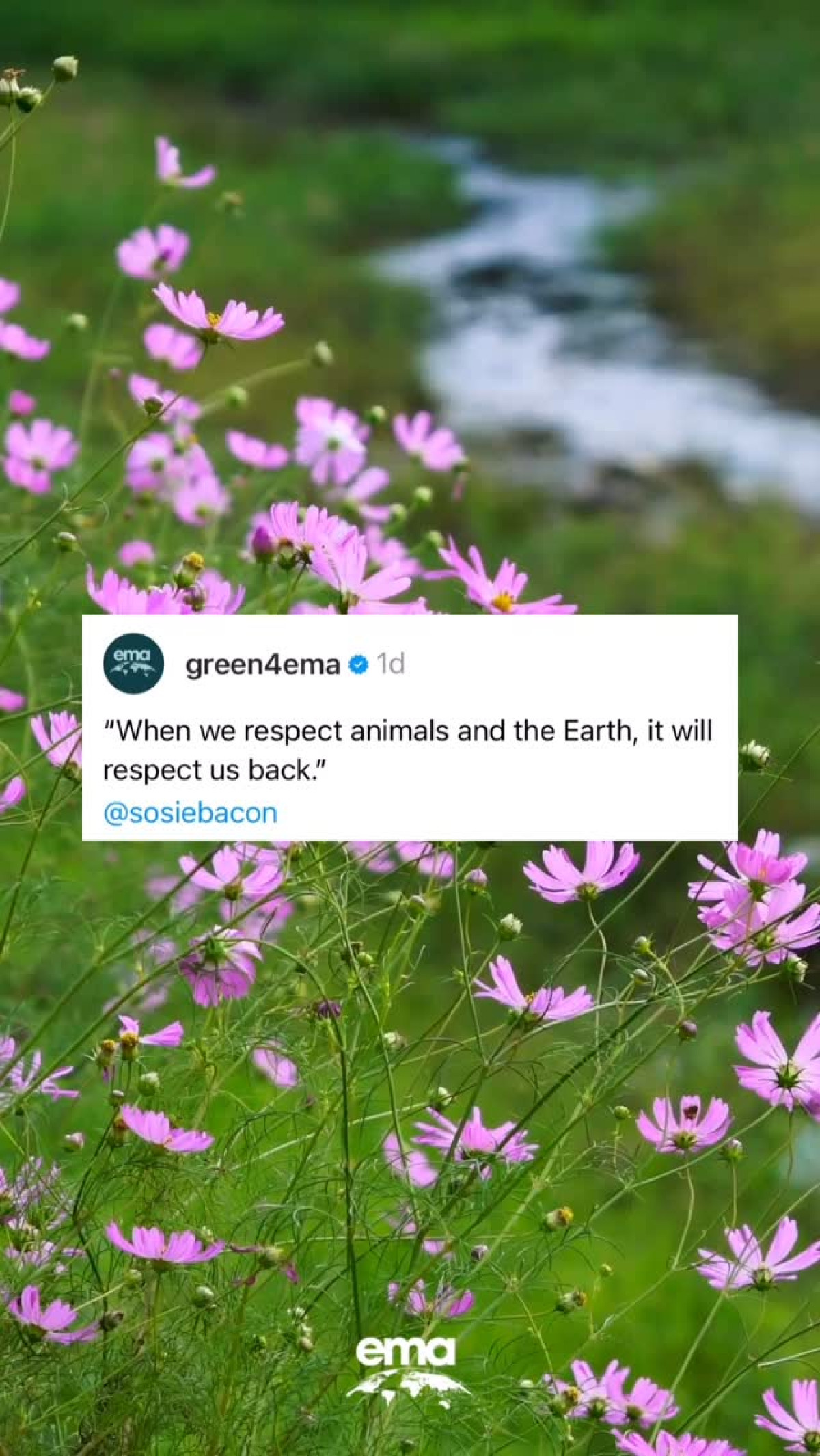 Sosie Bacon inspires us to cherish & honor nature’s unified life-support system every day.