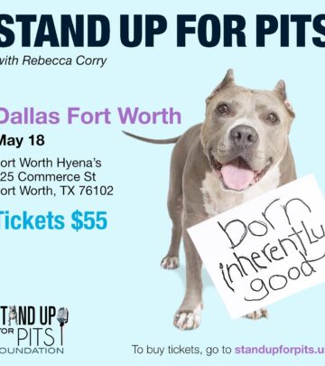 Enjoy a dynamic event featuring top comedians and aiding local shelters with heartfelt fun