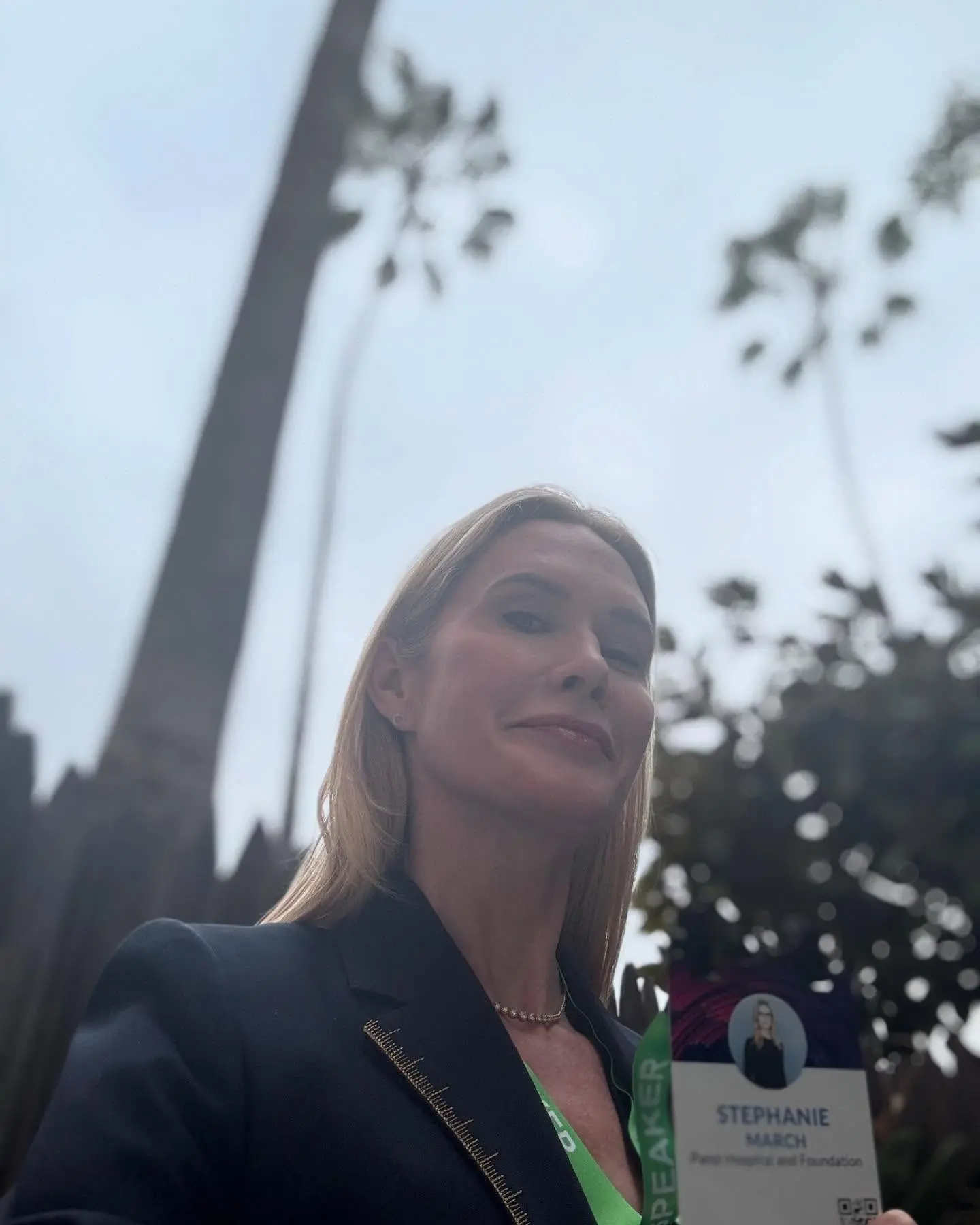 Stephanie March Speaks Out At Milken Institute Party