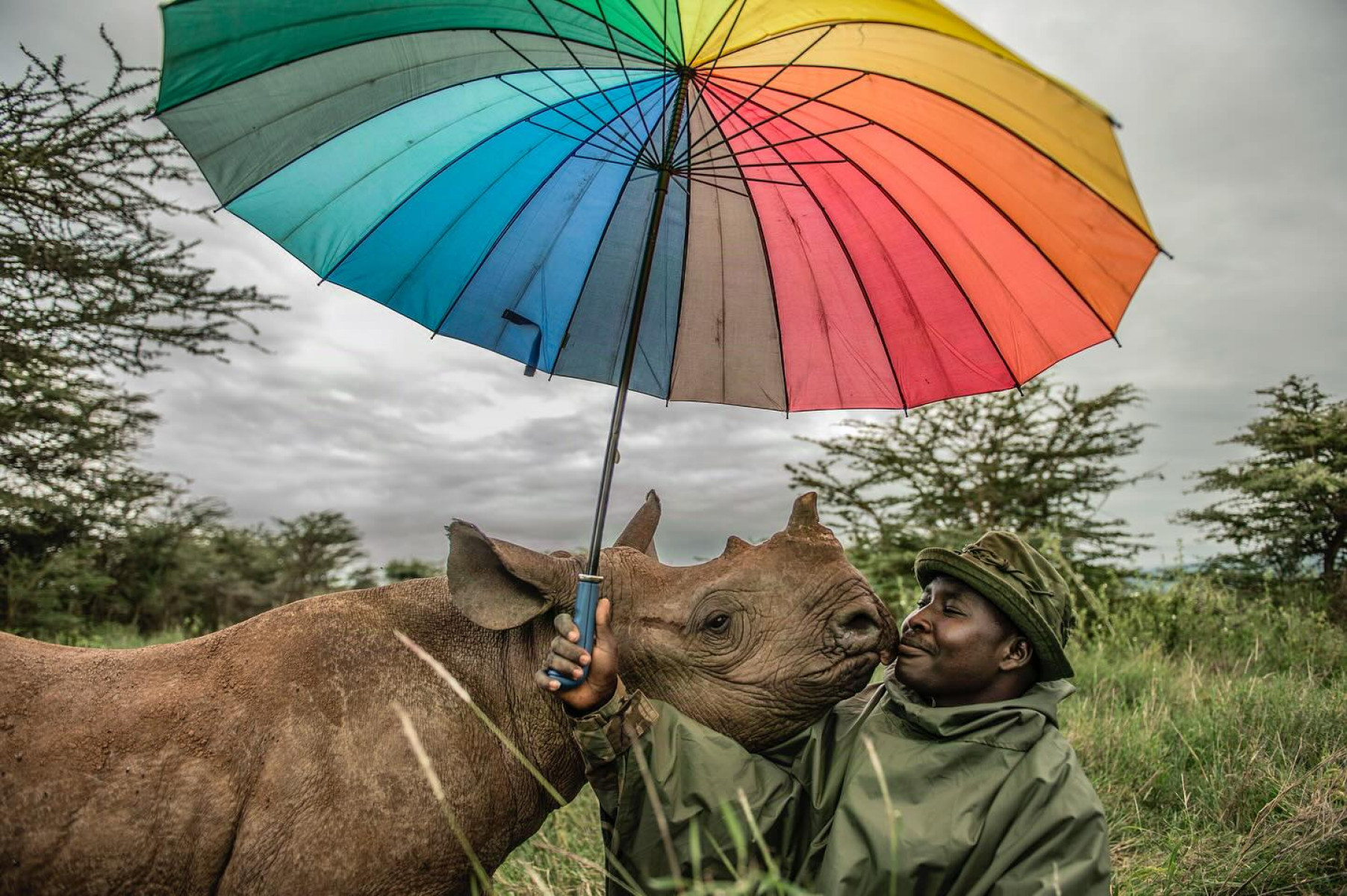Uniting creative visionaries for grassroots conservation and impactful storytelling always.