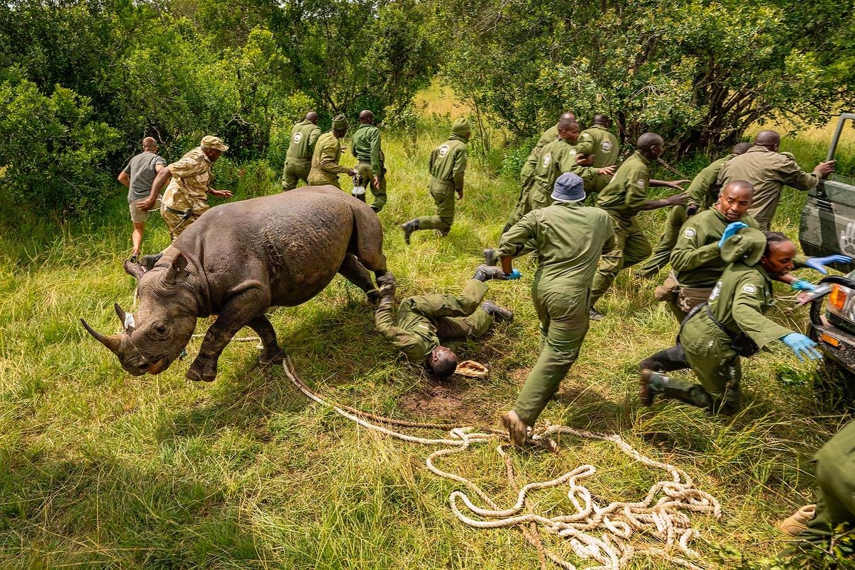 Storytelling Sparks Change In Conservation