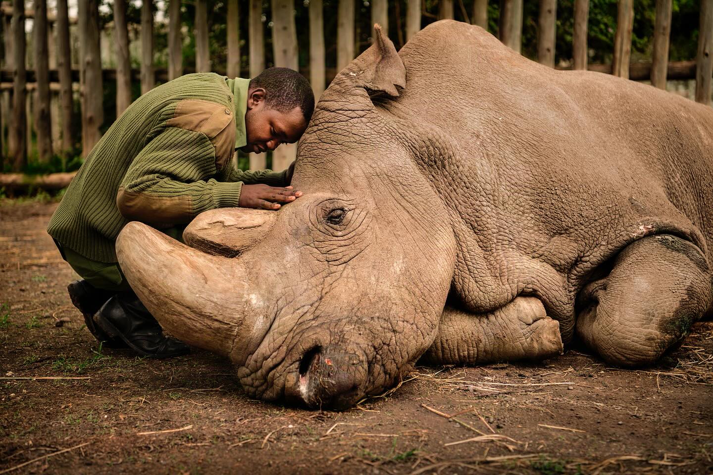 Storytelling Sparks Change In Conservation