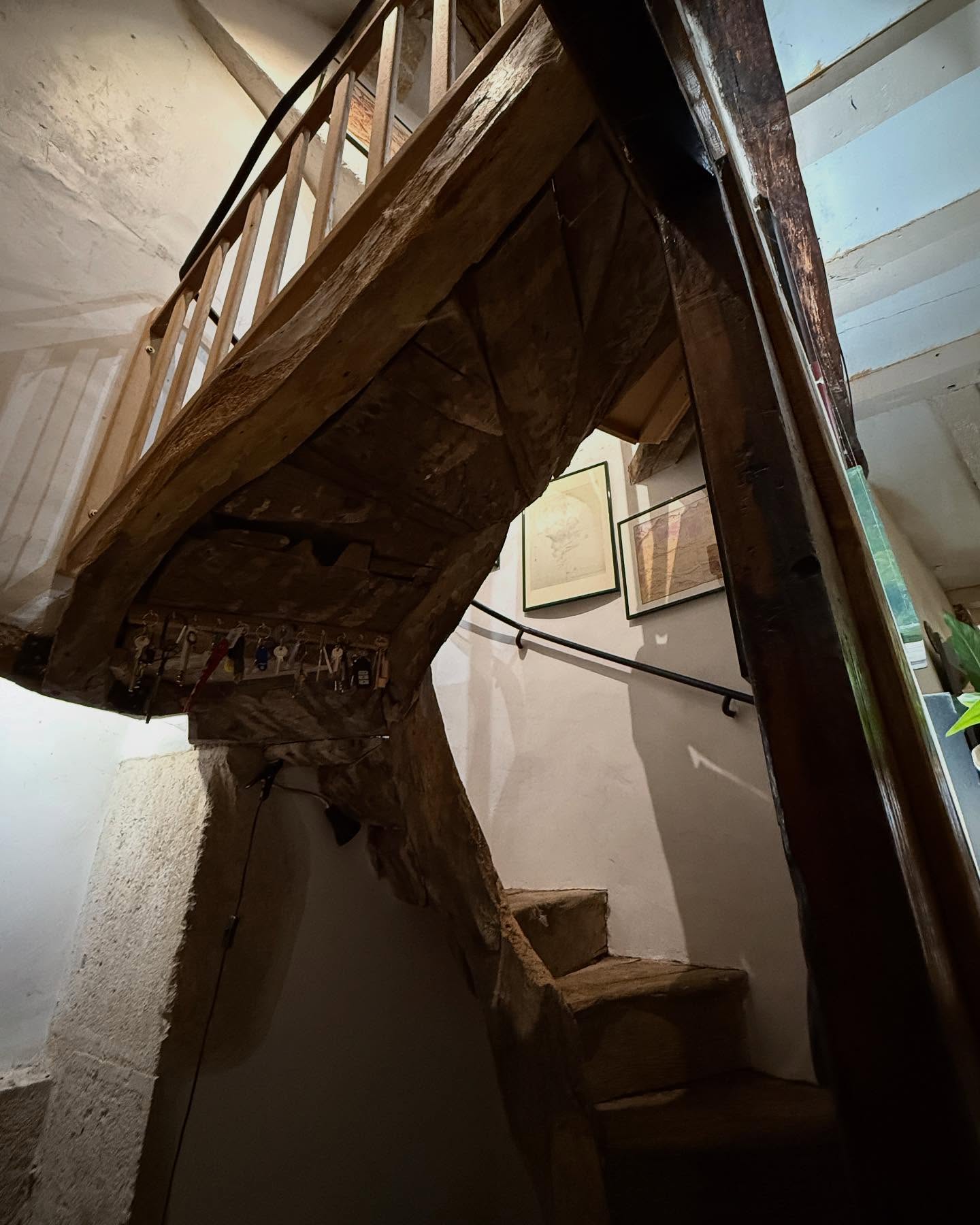 Stunning Tree Trunk Stairs Captivate Fans Cady McClain shows off a tree trunk staircase that elegantly unites nature and art wow!