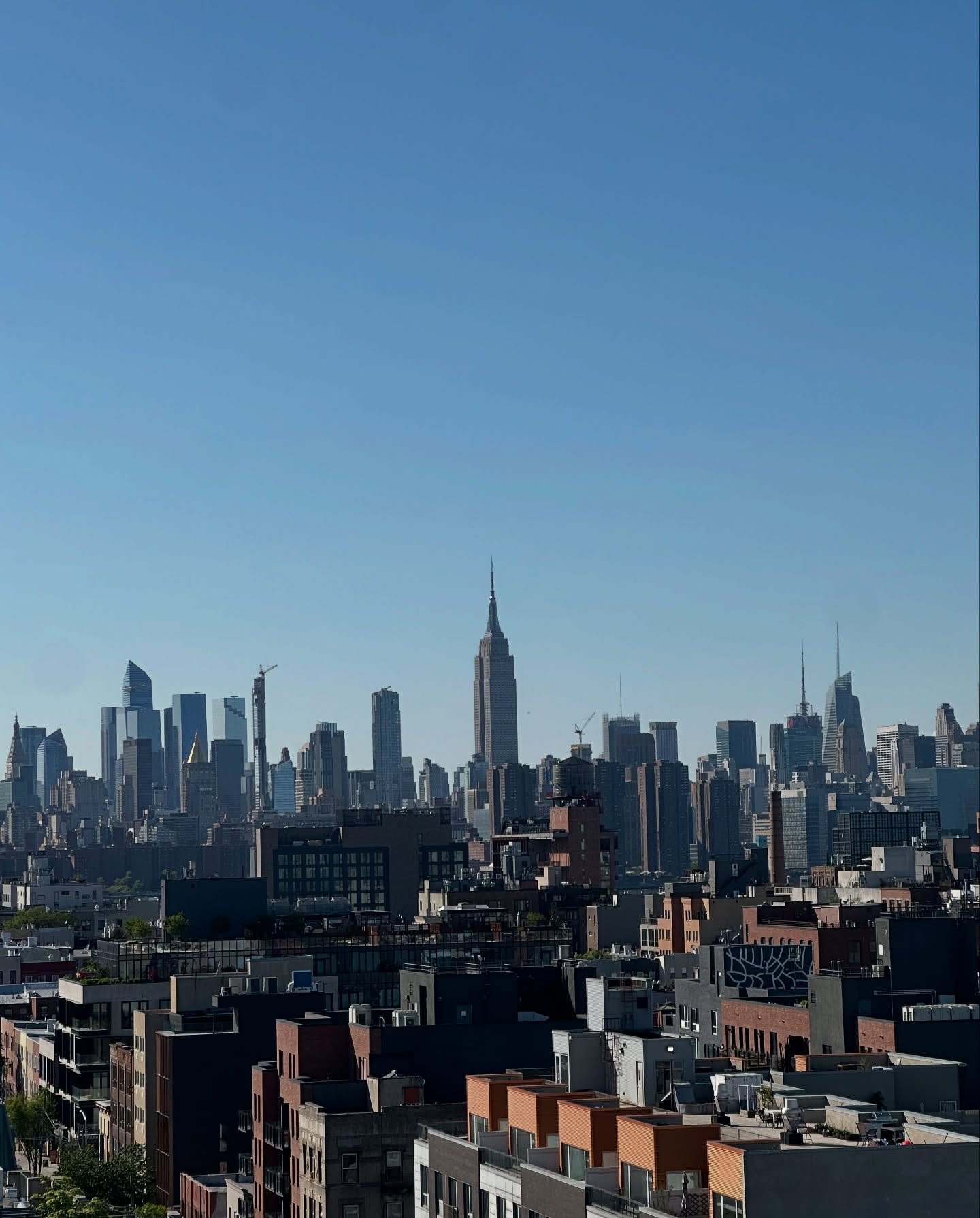 Sunny Vibes And Chill Sips In New York