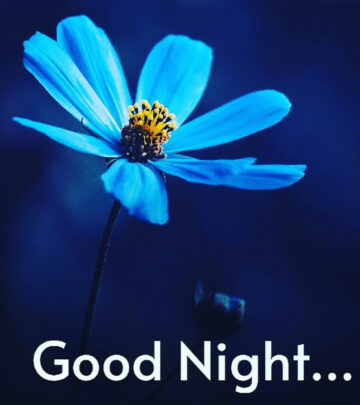 Sweet Dreams: Jeffrey Byron Inspires With Tranquil Post