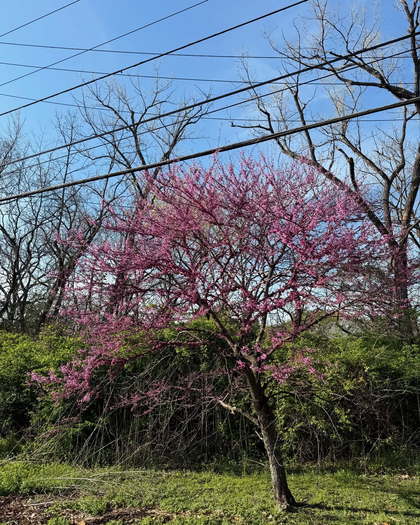 Tanner Adell Unveils Artistic Photo Dump On Instagram