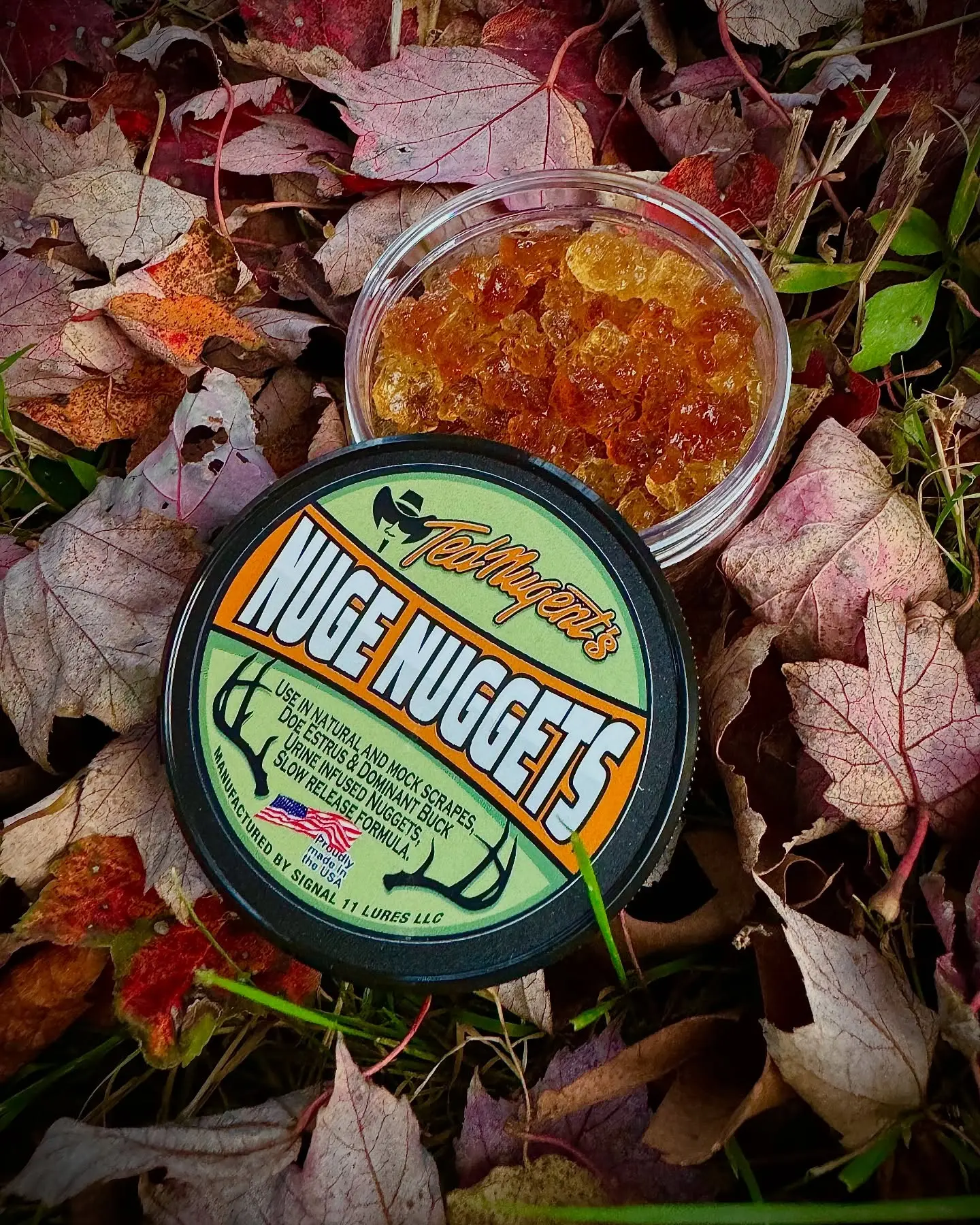 Ted Nugent Launches Bold 'Gonzo Stink' Signature Scents