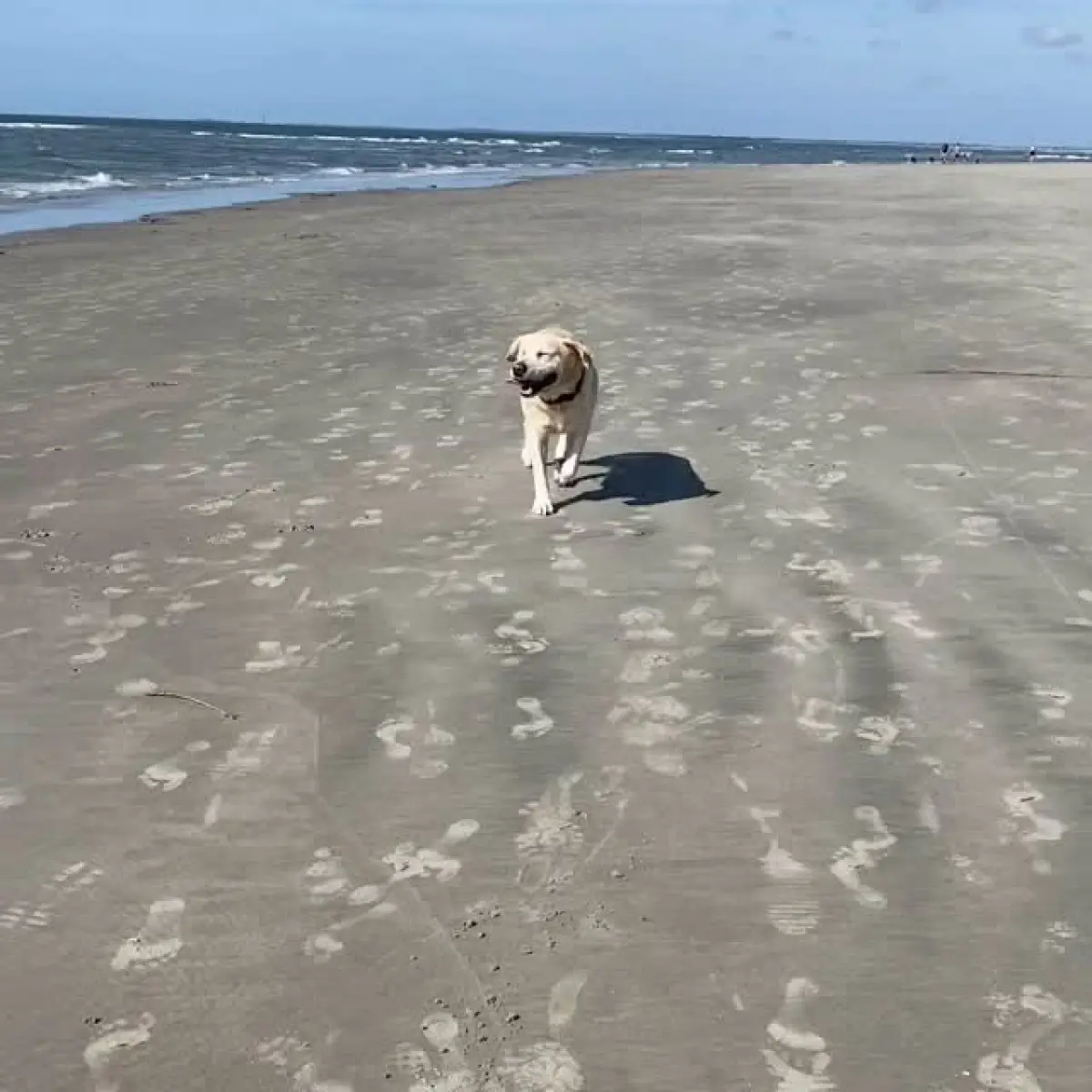 Charles Esten reunites with his crew for some sunny, relaxed vibes at the beach getaway.
