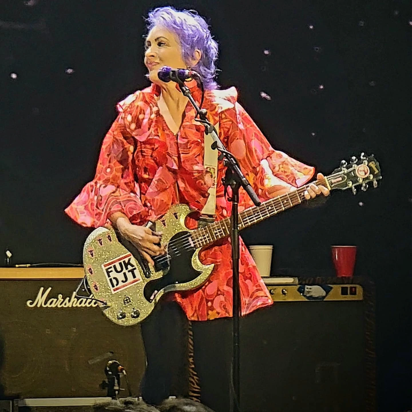 The Go-Go’s Live at Palms Hotel, Las Vegas