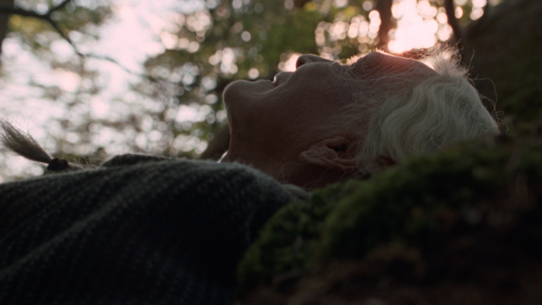 The Summer Book Shines In Scandinavian Cinemas