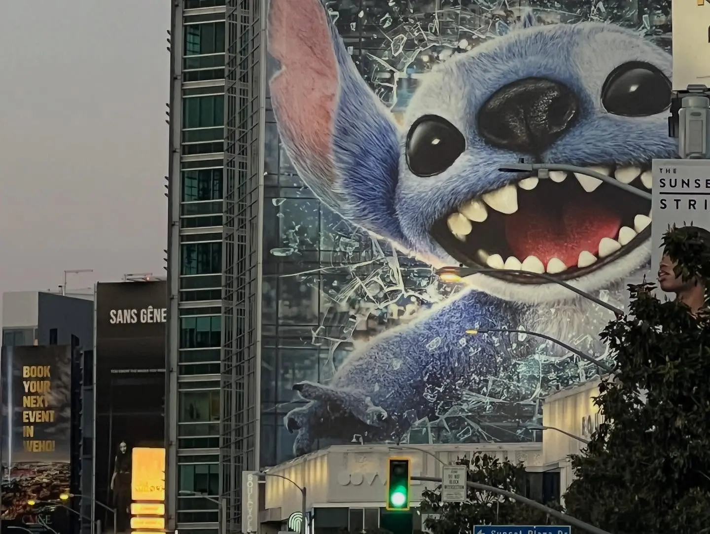 Tia Carrere’s IG Post Sparks Disney Buzz