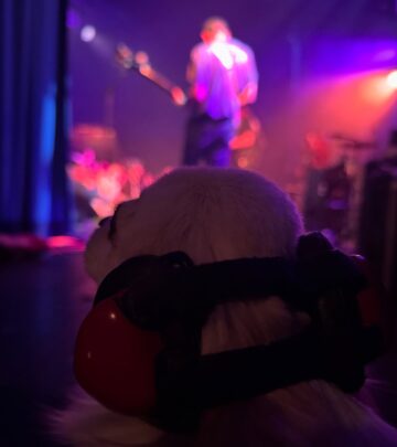 Tim Heidecker ignites Lodgeroom as he sends off King Tuffy with an unforgettable rock show