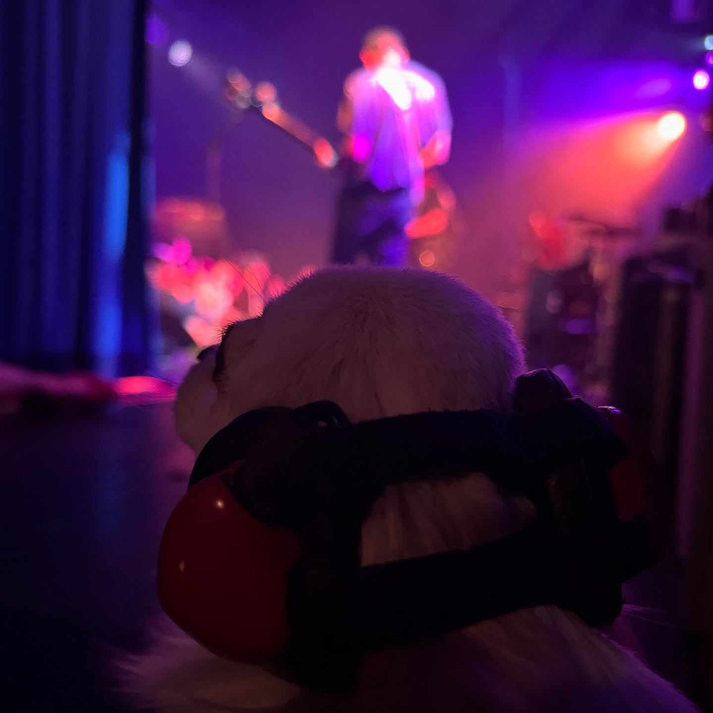 Tim Heidecker Rocks Lodgeroom Send-Off Tim Heidecker ignites Lodgeroom as he sends off King Tuffy with an unforgettable rock show