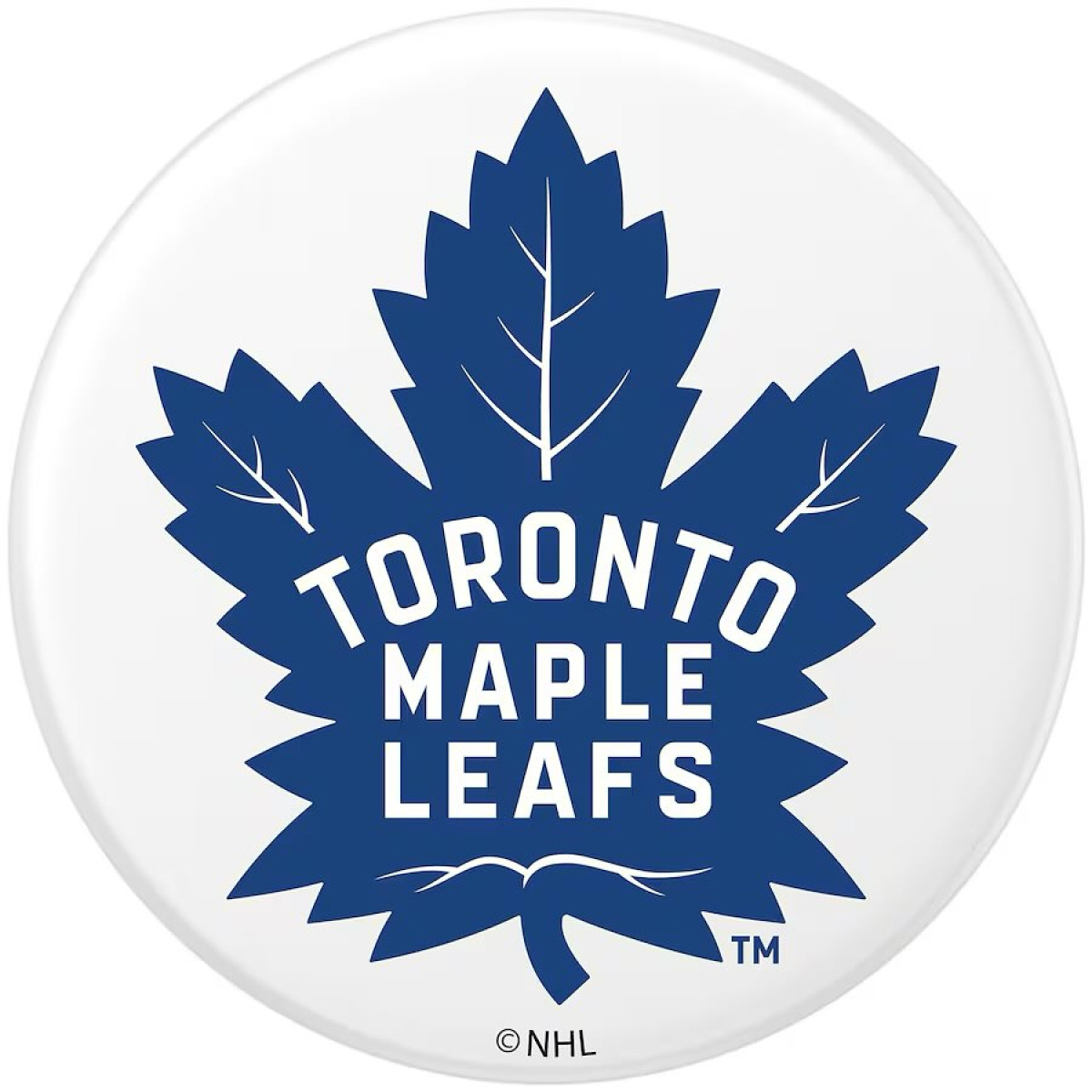 Tom Green Celebrates Maple Leafs Goal Canadian spirit ignites as Tom Green cheers a pivotal goal by the Maple Leafs in style.!!!