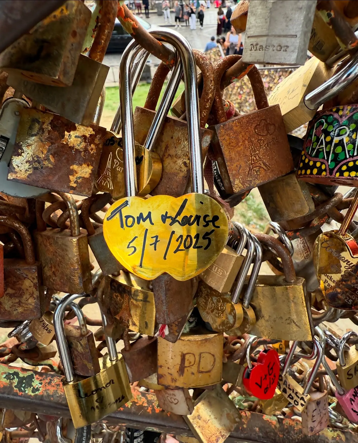 Tompoleman Captures City Of Love
