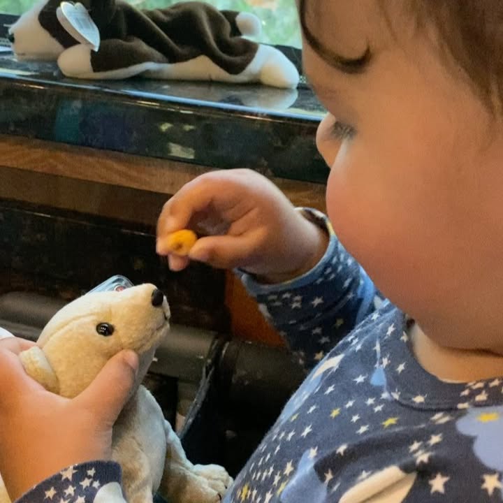 Touring With A Toddler: Fun, Chaos, And Family Moments
