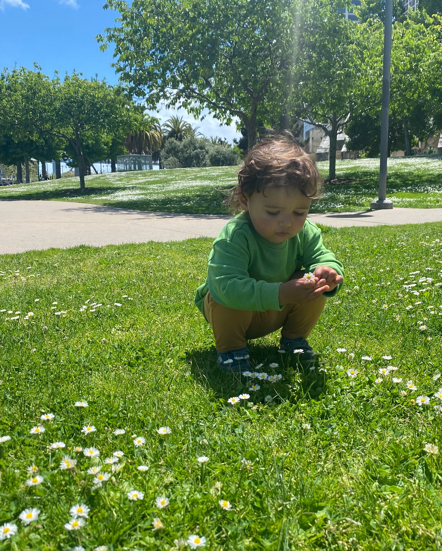 Touring With A Toddler: Fun, Chaos, And Family Moments