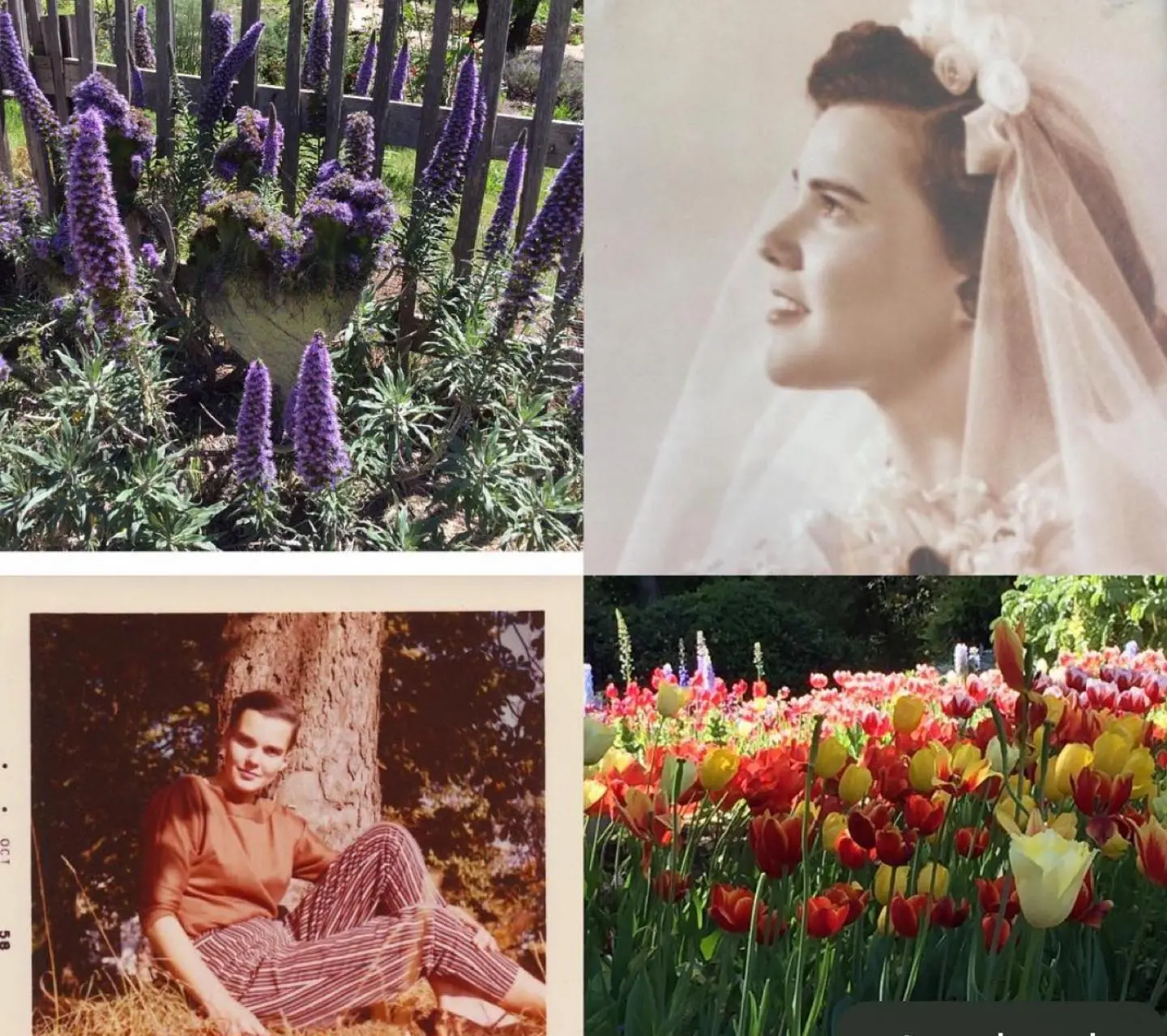 Tribute To A Mother’s Timeless Love Recalling gentle melodies and secret gardens, Brenda Strong unveils heartfelt family saga!