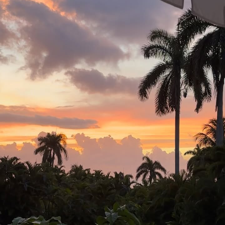 Tyla Embraces Jamaican Bliss In Radiant Post