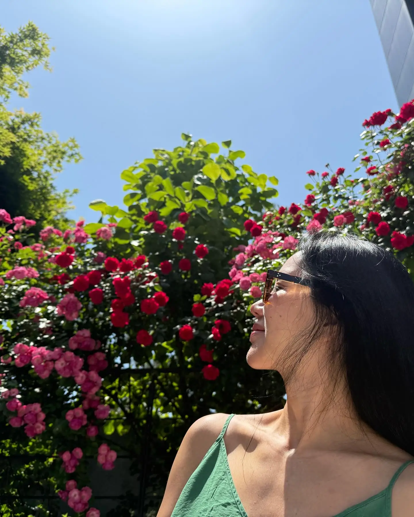 Uhm Jung-Hwa’s Seasonal Rose Photos Delight Fans