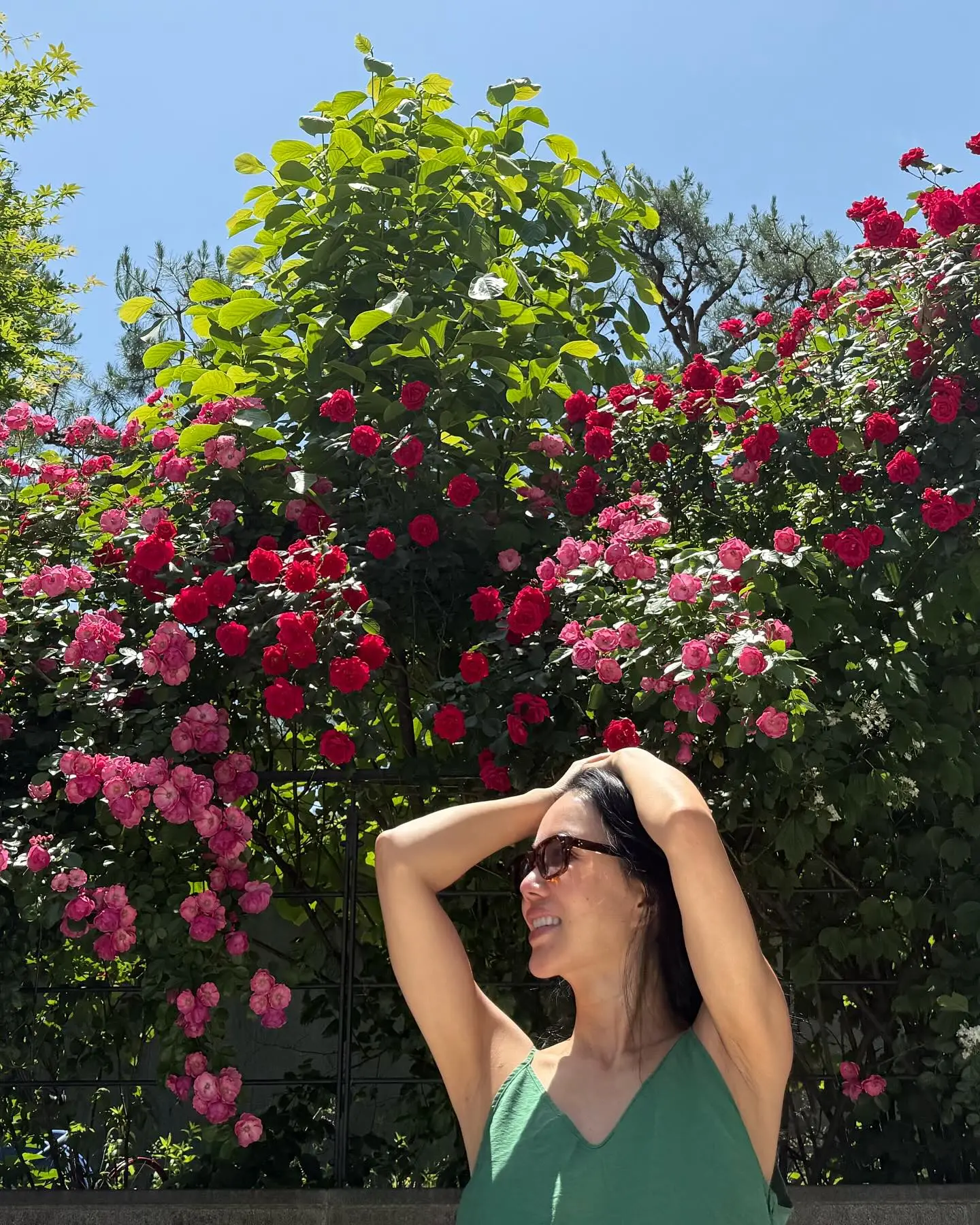 Uhm Jung-Hwa’s Seasonal Rose Photos Delight Fans