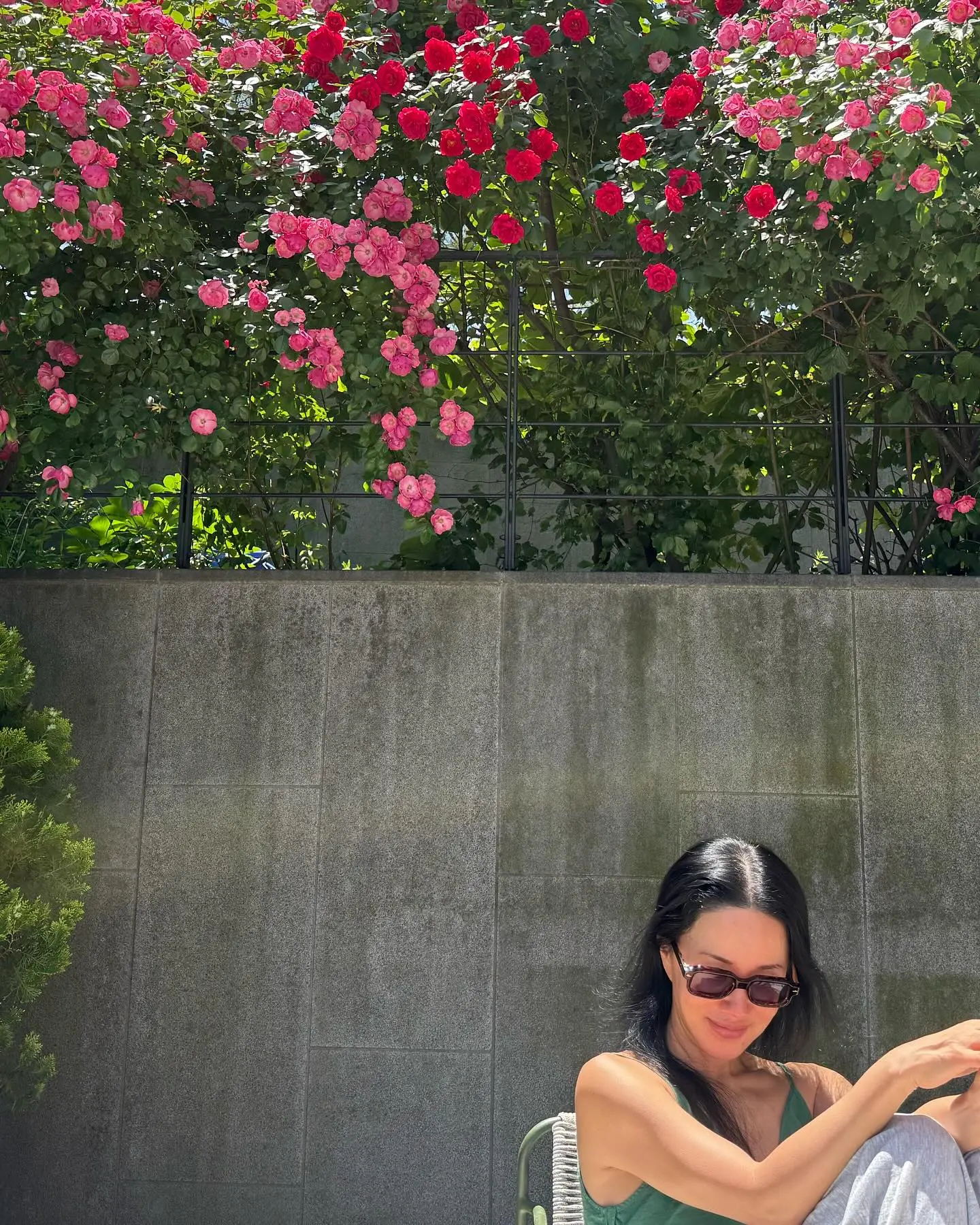 Uhm Jung-Hwa’s Seasonal Rose Photos Delight Fans