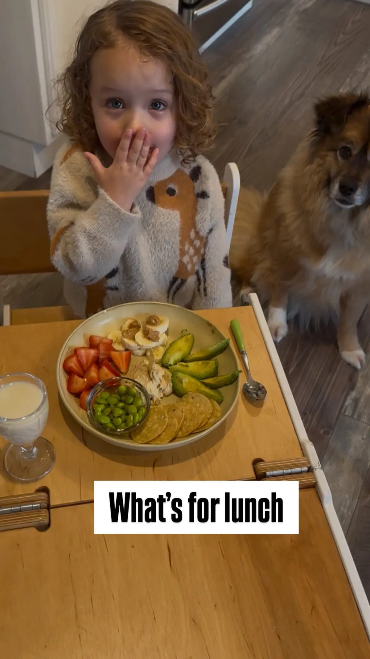Vegan Toddler Lunch Inspires Healthy Living Shanti Lowry showcases her toddler's vibrant vegan lunch and pure food philosophy daily!!.