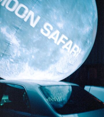 Limited Edition Release Of Vegyn X Air Blue Moon Safari Vinyl Now Restocked at Plz.world!!!