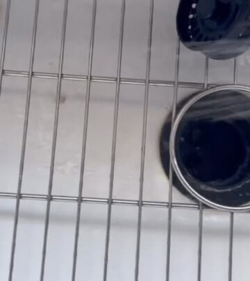 Vic DiBitetto’s Wild Kitchen Sink Antics