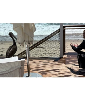 Victoria Principal Encourages Pelican’s Flight at Beach Gate