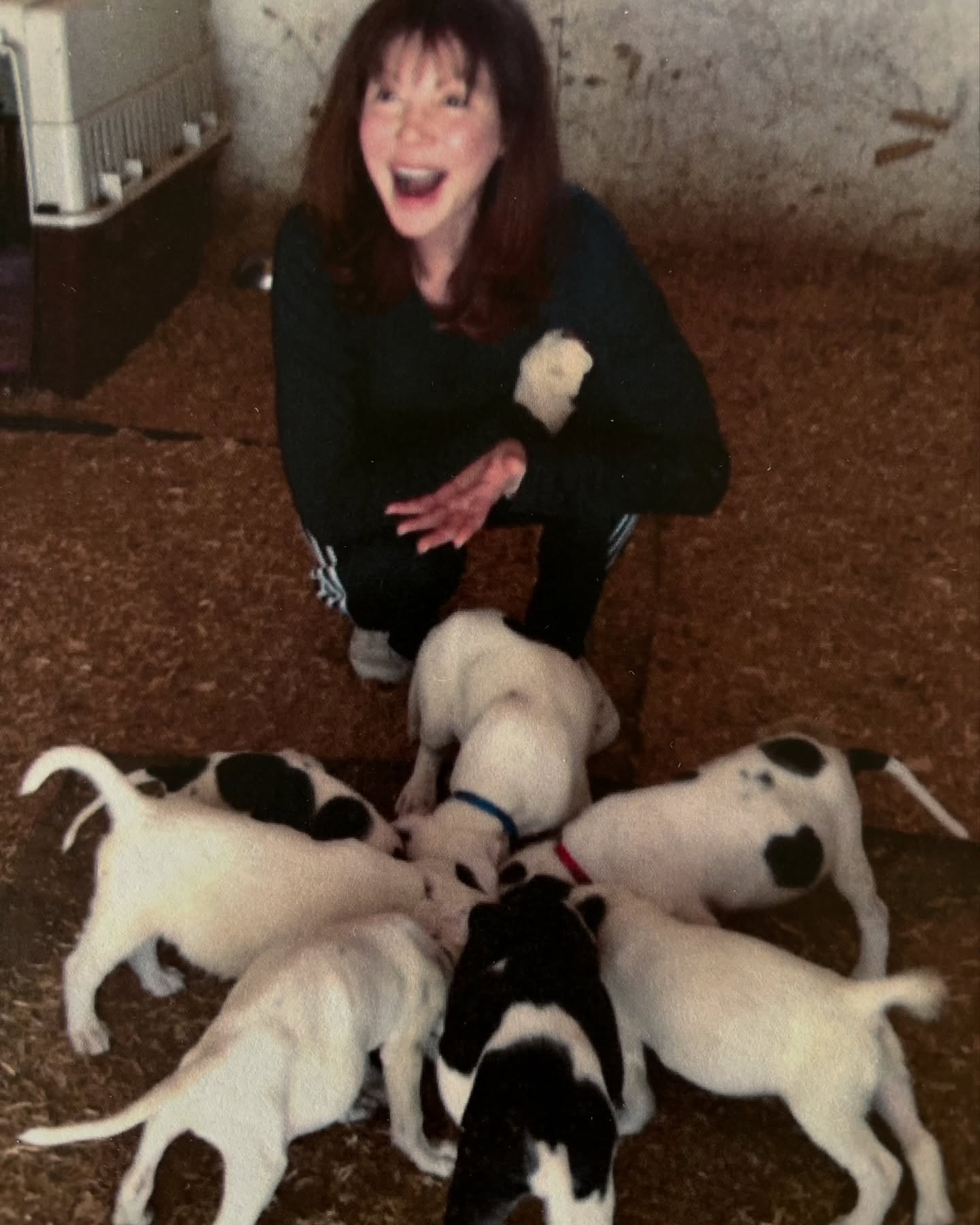 Actress Victoria Principal delights fans with adorable rescue puppies in a surprise!