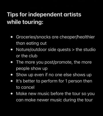 Violinist Michael Prince Shares Tips for Indie Artists