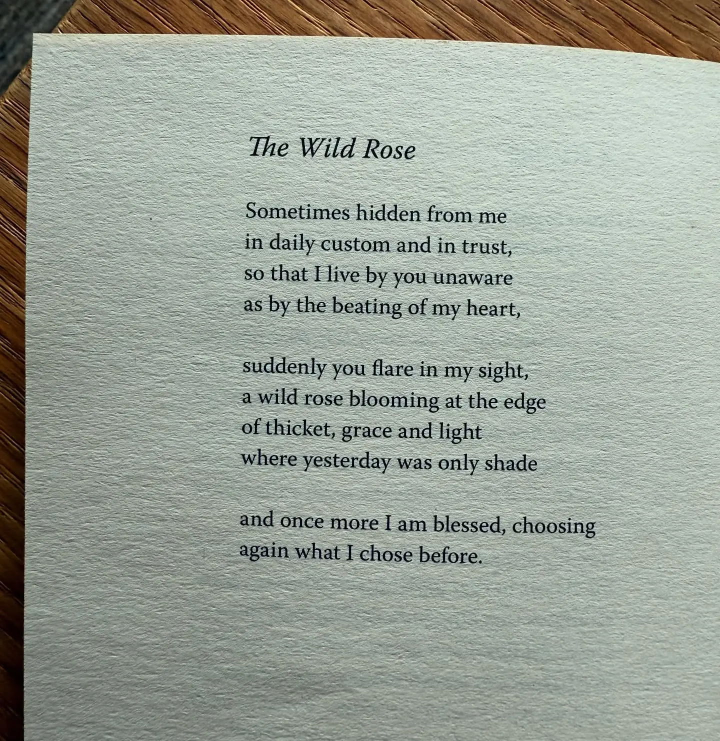 Wild Rose Poetry Inspires Yoga Community Connection A heartfelt poetic journey intertwining wellness, kindness, and vibrant communal energy!!!