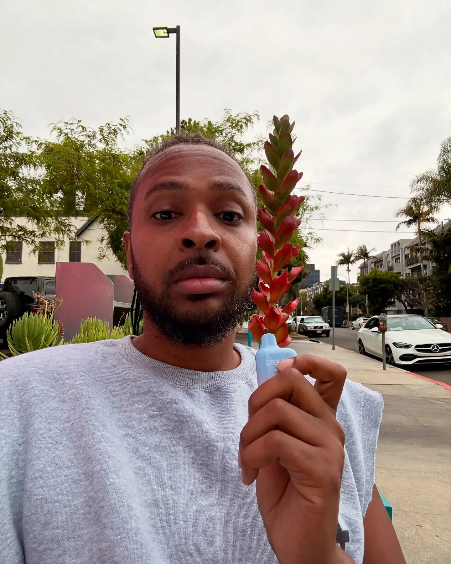 William Irvin's Candid Reflection