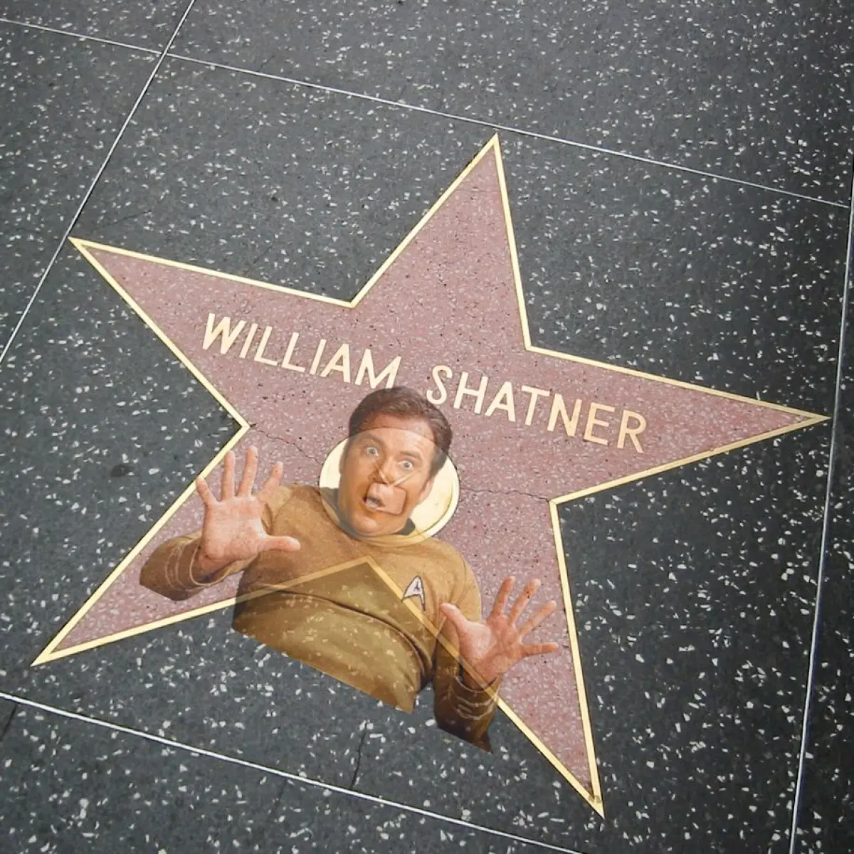 William Shatner Celebrates 42 Years Of Being Walked Over Celebrating 42 years of quirky milestones, a timeless icon winks at decades of defiance!!